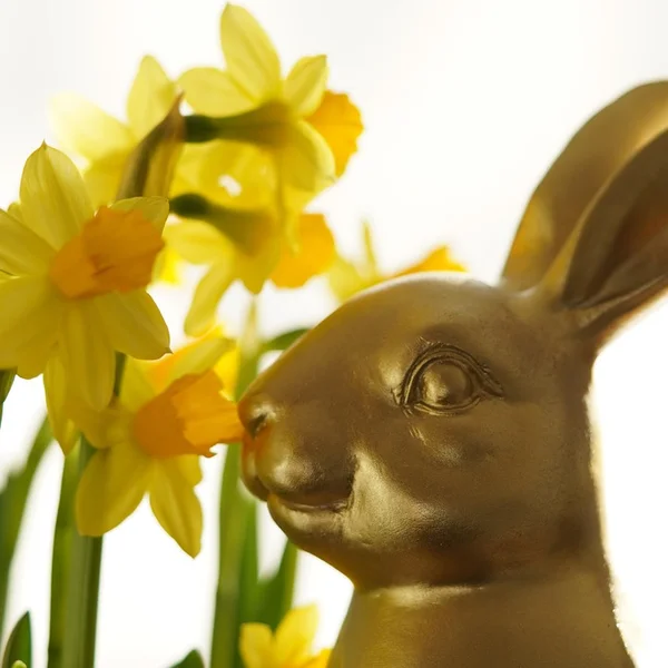 开云电竞捕鱼游戏